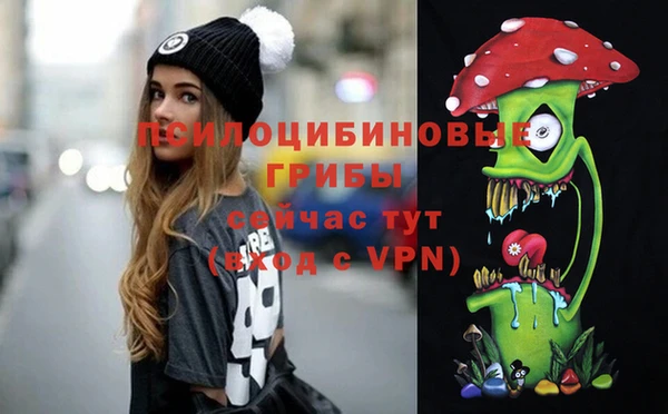 МДПВ Краснослободск