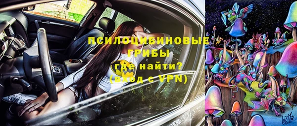 гидропоника Кукмор